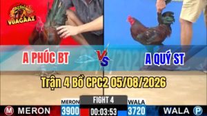 Trận 4 CPC2 Ngày 5/8/2026 Vua Gà AZ