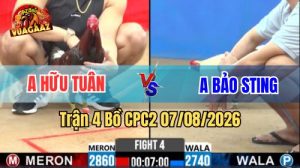 Trận 4 CPC2 Ngày 7/8/2026 Vua Gà AZ