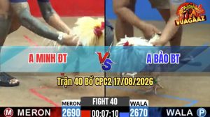 Trận 40 CPC2 17/08/2026 – Gà Anh Bảo Tránh Né Quá Khéo Léo