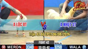 Trận 42 CPC2 06/08/2026 – Anh Nhựt ST Đá Cựa Đâm Dính Như Keo