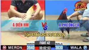 Trận 42 CPC2 20/08/2026 – Anh Điền Tung Mẻ Hiệu Vào Đá Nhanh Gọn