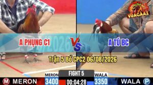 Trận 5 CPC2 06/08/2026 – Anh Tú Dí Bạc Anh Phụng, Buông Ra Thua Ngược