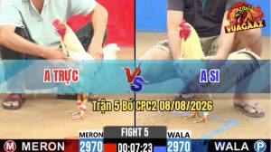 Trận 5 CPC2 08/08/2026 – Anh Si Đá Anh Trực Lên Bờ Xuống Ruộng