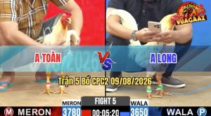 Trận 5 CPC2 09/08/2026 – Anh Long Có Pha Lật Ngược Thế Cờ Quá Hay