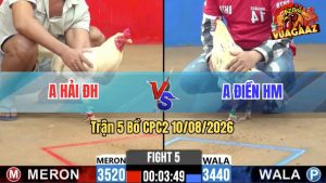 Trận 5 CPC2 10/08/2026 – Gà Bướm Anh Điền Cưa Nhấc Chân Là Có Cựa