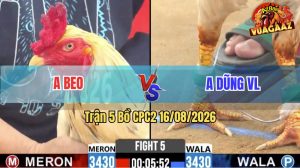 Trận 5 CPC2 16/08/2026 – Anh Dũng Làm Thịt Anh Beo Nhanh Gọn