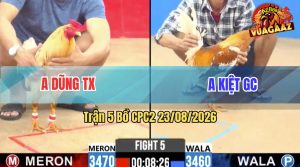 Trận 5 CPC2 23/08/2026 – Gà Bướm Anh Dũng Lội Ngược Dòng Quá Hay