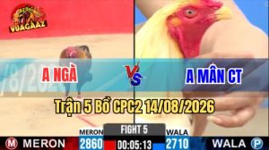Trận 5 CPC2 Ngày 14/8/2026 Trên Vua Gà AZ