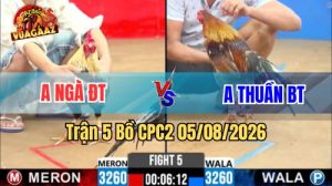 Trận 5 CPC2 Ngày 5/8/2026 Vua Gà AZ