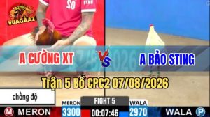 Trận 5 CPC2 Ngày 7/8/2026 Vua Gà AZ