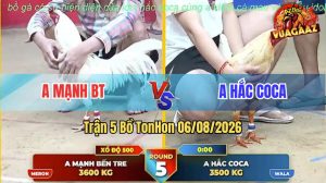 Trận 5 TonHon 06/08/2026 – Anh Hắc Coca Hạ Anh Mạnh BT Dễ Dàng