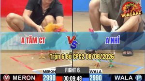 Trận 6 CPC2 08/08/2026 – Anh Tâm CT Đánh Bại Anh Nhí Nhanh Gọn