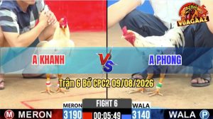 Trận 6 CPC2 09/08/2026 – Anh Khanh May Độ Thắng Trong Thế Thua