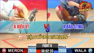 Trận 6 CPC2 11/08/2026 – Anh Bảo Sting Làm Thịt Anh Kiều Dễ Dàng