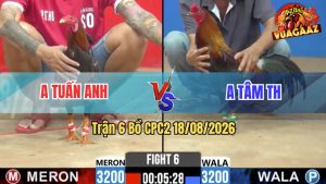 Trận 6 CPC2 18/08/2026 – Anh Tuấn Anh Hạ Anh Tâm Trong 3 Chân Cựa