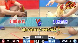 Trận 6 CPC2 19/08/2026 – Anh Thắng Thành Công Đánh Bại Anh Phát ĐH
