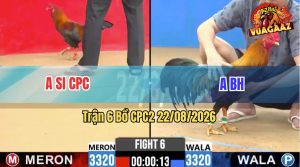 Trận 6 CPC2 22/08/2026 – Trận Đấu Cân Tài Cân Sức Quá Kịch Tính