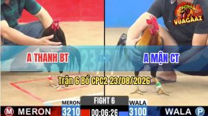 Trận 6 CPC2 23/08/2026 – Anh Mận CT Không Cho Anh Thanh Cơ Hội Nào