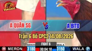 Trận 6 CPC2 Ngày 14/8/2026 Trên Vua Gà AZ