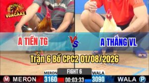Trận 6 CPC2 Ngày 1/8/2026 Tại Vua Gà AZ