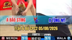 Trận 6 CPC2 Ngày 5/8/2026 Vua Gà AZ