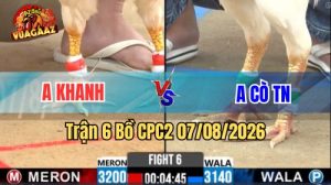 Trận 6 CPC2 Ngày 7/8/2026 Vua Gà AZ