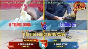 Trận 6 TonHon 06/08/2026 – Anh Trung Dona Đụng Độ Với Anh Tùng CT