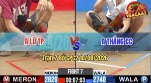 Trận 7 CPC2 10/08/2026 – Anh Thắng Lụm Anh Lũ Trong Tay Nước Đầu