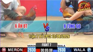 Trận 7 CPC2 13/08/2026 – Anh Ân Thành Công Hạ Anh Tùng GĐ