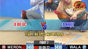Trận 7 CPC2 16/08/2026 – Anh Đủ Hạ Anh Nhựt Trong 3 Nốt Nhạc