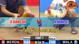Trận 7 CPC2 20/08/2026 – Anh Minh Hạ Anh Giang Trong 1 Tay Nước Đầu