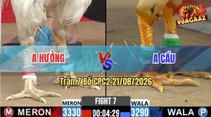 Trận 7 CPC2 21/08/2026 – Anh Cẩu Thành Công Đánh Bại Anh Hưởng
