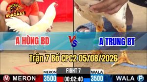 Trận 7 CPC2 Ngày 5/8/2026 Vua Gà AZ