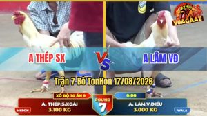 Trận 7 Tonhon 17/08/2026 – Anh Thép Siết Đúng 3 Chân Hạ Anh Lâm