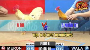 Trận 8 CPC2 08/08/2026 – Gà Bướm Đè Bạc Buông Ra Bông Đá Hư Hình