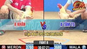 Trận 8 CPC2 16/08/2026 – Gà Bướm Dí Bạc Cho Cố Xong Quay Đầu Chạy