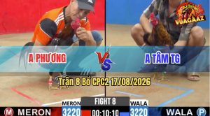 Trận 8 CPC2 17/08/2026 – Anh Phương Đụng Độ Với Anh Tâm Tiền Giang