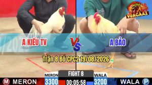 Trận 8 CPC2 19/08/2026 – Gà Anh Bảo Có Pha Lật Kèo Ngoạn Mục
