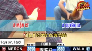 Trận 8 CPC2 22/08/2026 – Gà Xám Anh Mận Có Pha Lật Kèo Quá Hay