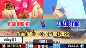 Trận 8 CPC2 Ngày 7/8/2026 Vua Gà AZ