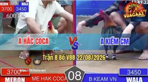 Trận 8 V88 22/08/2026 – Anh Kiểm CM Bị Anh Hắc Coca Lụm Tội Chấp Ngông