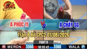 Trận 8.1 CPC2 Ngày 1/8/2026 Tại Vua Gà AZ