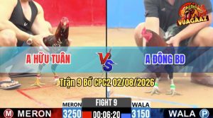 Trận 9 CPC2 02/08/2026 – Gà Que Anh Đông Có Pha Phản Đòn Thắng Ngược