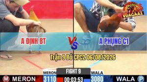 Trận 9 CPC2 06/08/2026 – Gà Điều Anh Phụng Có Chân Cựa Chí Mạng