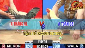 Trận 9 CPC2 09/08/2026 – Idol Thắng VL Gặp Đối Thủ Cứng Cựa