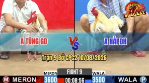 Trận 9 CPC2 10/08/2026 – Anh Hải Có Pha Lật Ngược Thế Cờ Quá Hay
