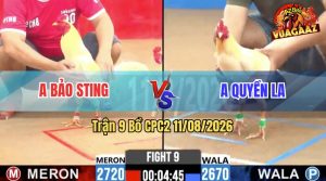 Trận 9 CPC2 11/08/2026 – Anh Bảo Sting Đưa Hàng Hiệu Ra Sân