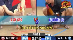 Trận 9 CPC2 17/08/2026 – Anh Cường Tiễn Anh Xy Vài Chân Là Lên Đường