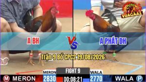 Trận 9 CPC2 19/08/2026 – Trận Hoà Đáng Tiếc Cho Anh Phát Đức Hoà