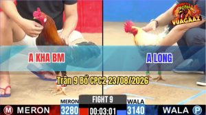 Trận 9 CPC2 23/08/2026 – Anh Kha Tung Gà Điều Hiệu Vào Sân